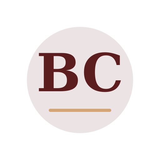 Boda Chimney Services logo